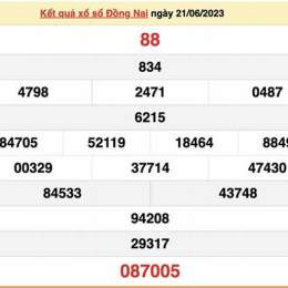 bạc nhớ dự đoán xổ số đồng nai