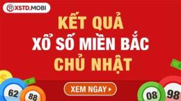 giao diện app chủ nhật xổ số đài bắc