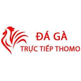 giao diện app đá gà trực tiếp xổ số hôm nay