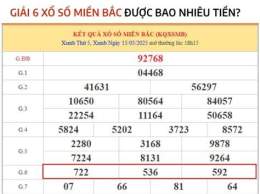 giao diện app giải 6 xổ số miền bắc được bao nhiêu tiền
