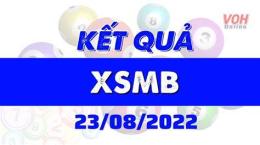 giao diện app kết quả xổ số 23 tháng 8