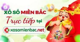 giao diện app ket qua xo so mien bac chu nhat hang tuan