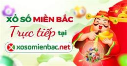giao diện app ket qua xo so mien bac thu 4 hang tuan