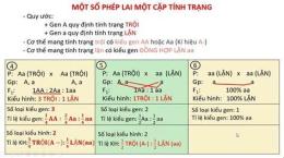 hướng dẫn sử dụng cách tính xổ số