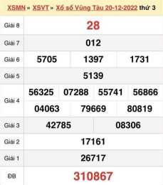 hướng dẫn sử dụng cho coi xổ số vũng tàu