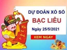 hướng dẫn sử dụng dự đoán xổ số bạc liêu thần tài