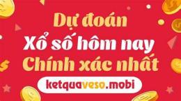 hướng dẫn sử dụng du doan xo so wap vn