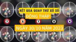 hướng dẫn sử dụng kết quả sổ xố đồng tháp