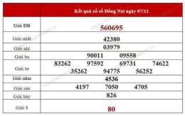 hướng dẫn sử dụng kết quả xổ số đồng nai 200 ngày