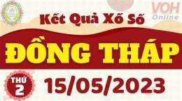 hướng dẫn sử dụng kết quả xổ số đồng tháp ngày 15 tháng 12