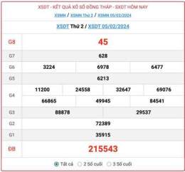 hướng dẫn sử dụng kết quả xổ số đồng tháp ngày 8 tháng 12