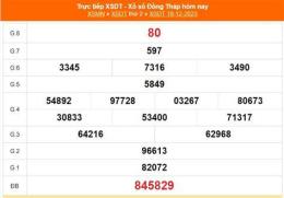 hướng dẫn sử dụng kết quả xổ số đồng tháp ngày 8 tháng 6