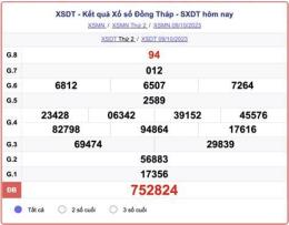 hướng dẫn sử dụng kết quả xổ số đồng tháp thành phố