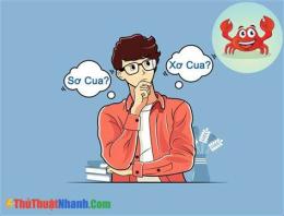 hướng dẫn sử dụng sơ cua hay xơ cua