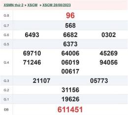 hướng dẫn sử dụng số xổ cà mau