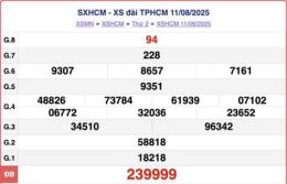 hướng dẫn sử dụng số xổ hồ chí minh hôm nay