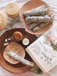 hướng dẫn sử dụng so xô ho chi minh