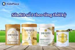 hướng dẫn sử dụng xo số 3