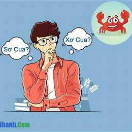 sơ cua hay xơ cua