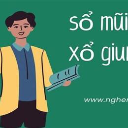 sổ giun hay xổ giun