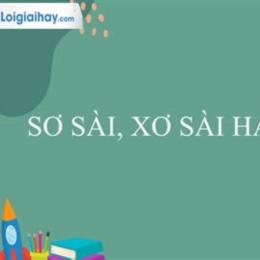 sơ sẩy hay xơ xẩy