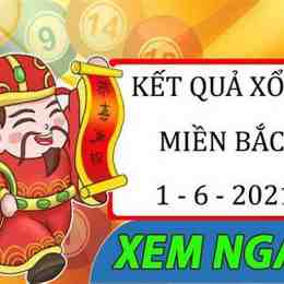 sô xố mn