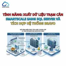 tính năng nổi bật áp số xổ 66