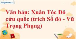 tính năng nổi bật kết quả xổ số xuân tóc đỏ
