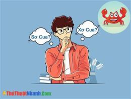tính năng nổi bật sơ cua hay xơ cua