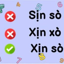 xịn sò hay xịn xò đúng