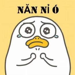 xin xỏ hay xin sỏ