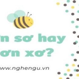 xơ hay sơ
