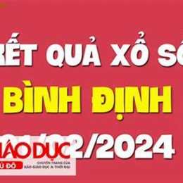xo so binh dinh 27 8