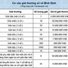 xổ số bình định 300 ngày