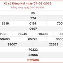 xo so dong nai 11 3