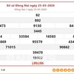 xo so dong nai 25 3