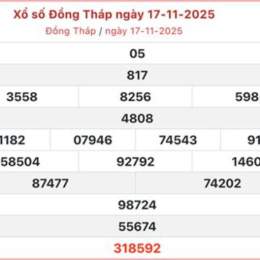 xo so dong thap 17 11