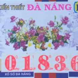 xổ số ngày 12/02/2026
