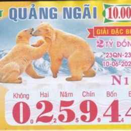 xổ số quãng ngãi ngày 29 11