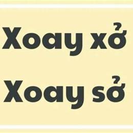 xoay xở hay xoay sở đúng
